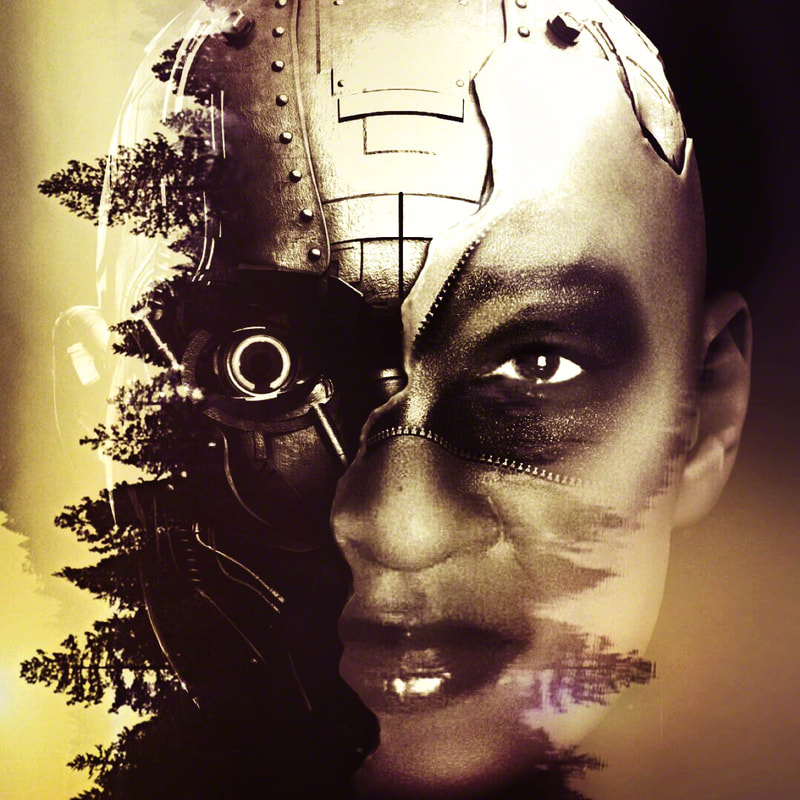 “Gullah Me: Technomerge” | $2192 | Digital  photomontage, collage, and digital painting, 22.5 x 22.5 inches (framed) | #Techspressionist #Gullah art | © 2017 Verneda Lights.