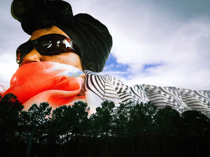 “Gullah Me: Hurricane Wings” | $1299 | 18.75  x  16 inches (framed) | #Techspressionist #Gullah art | © 2017 Verneda Lights.